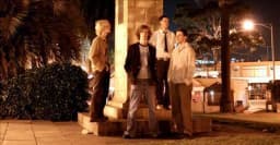 The White Rabbits