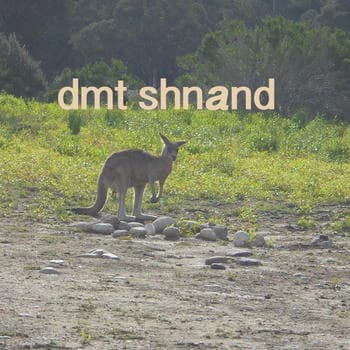 DMTband