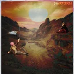 Space Pelican