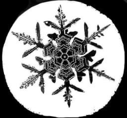 *SNOWFLAKE*