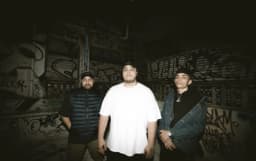 Freesouls