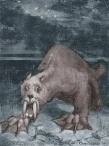 Bunyip