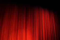 The Director's Cult