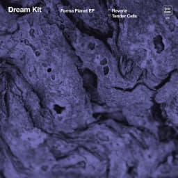 Dream Kit