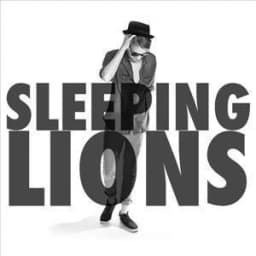 Sleeping Lions