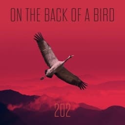 Songs 202