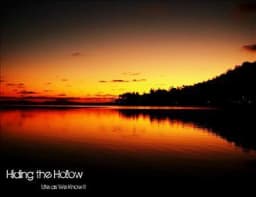 Hiding The Hollow