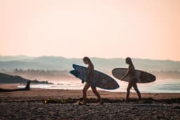 Beach Plums