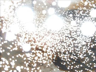 Fighting Lights