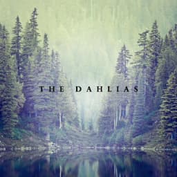 The Dahlias