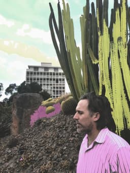 Steady Garden