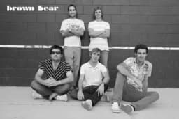 BROWN BEAR