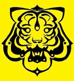 Tiger & The Rogues