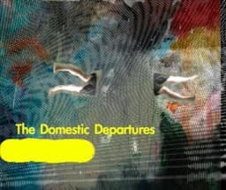 The Domestic Departures