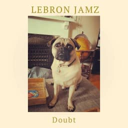 LeBron Jamz