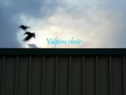 Vulpine Choir