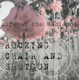 Rocking Chair and Shotgun