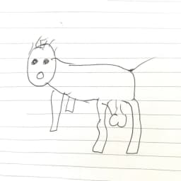 The dog