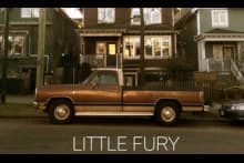 Little Fury