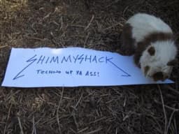 Shimmy Shack