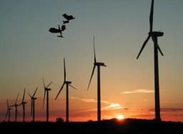 Kids in the wind