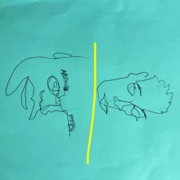 DES