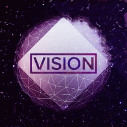 Vision