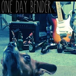 One Day Bender