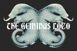 The Geminus Loco