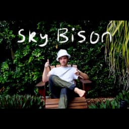 Sky Bison