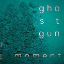 Ghost Gun
