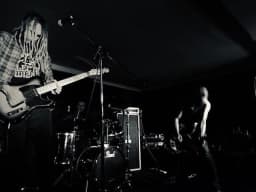 Amammoth