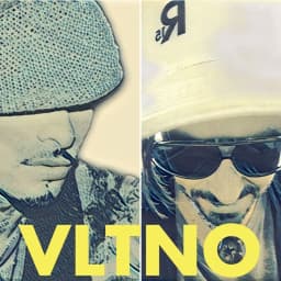 VLTNO