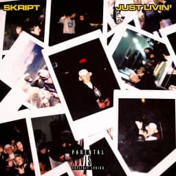 Skript