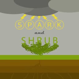 Spark and Shrub