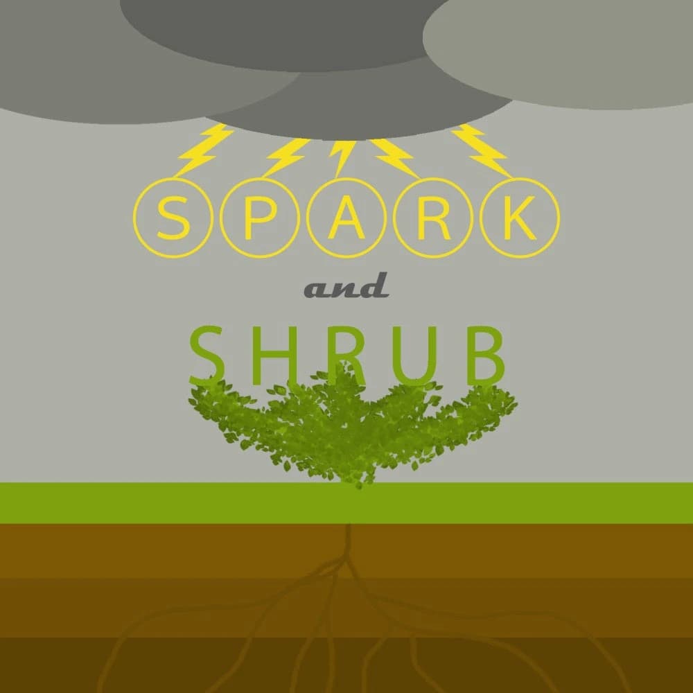 Spark and Shrub