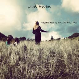 Mud Houses