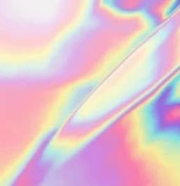 Flance