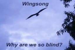 Wingsong