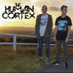 The Human Cortex
