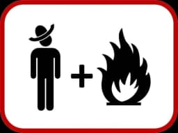 Diego Y El Fuego