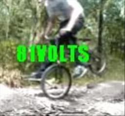 81Volts
