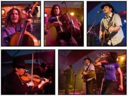 The WhiskeyDicks