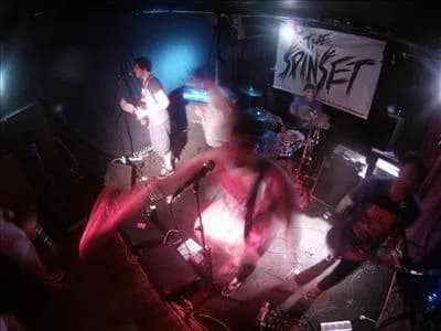 The Spinset