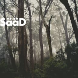 SaaD