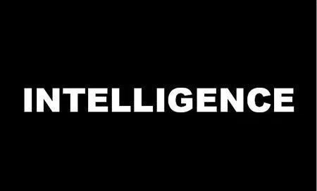 Intelligence