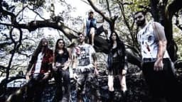 Swamp Harlot