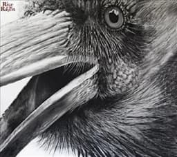 rise of the raven