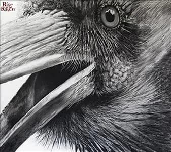 rise of the raven