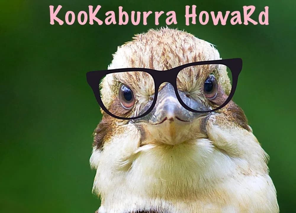 KooKaburra HowaRd